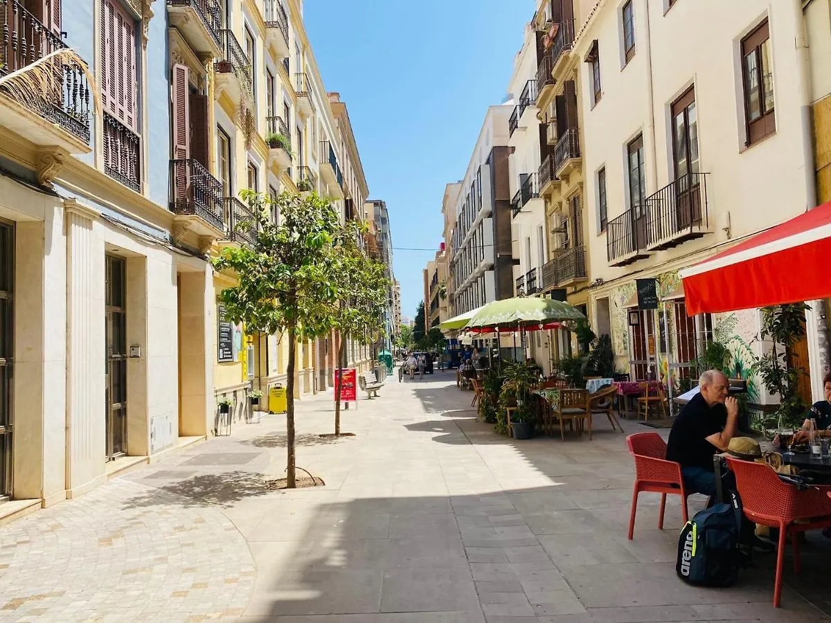 Soho Amplio Apartamento En El Centro De La Malaga